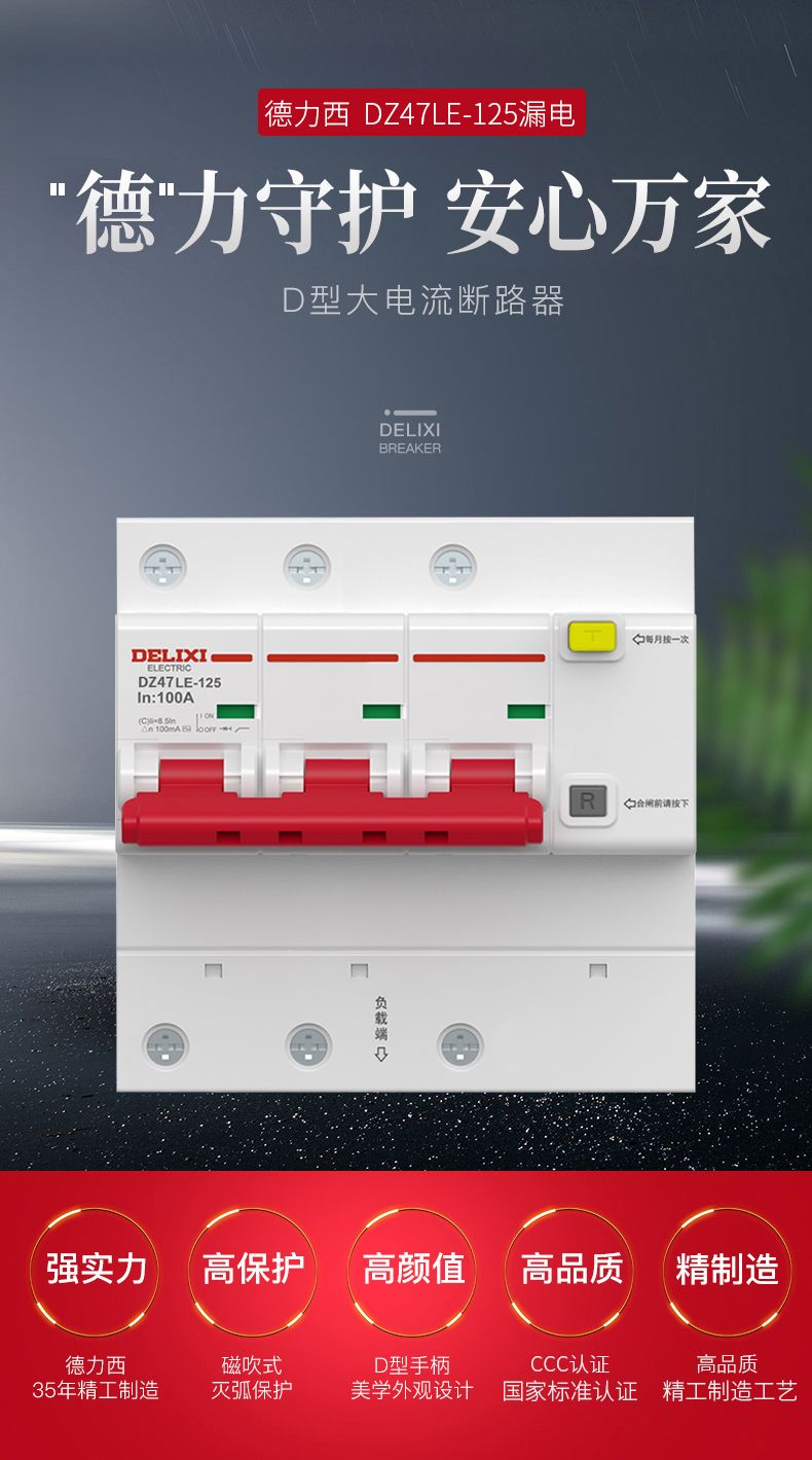 德力西大功率漏電開關(guān)DZ47LE 2P-100A/125A D型漏電斷路器 兩相大功率漏電保護(hù)器 2極漏電開關(guān)